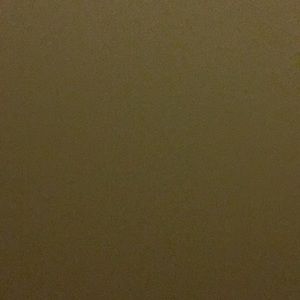 Meet your Posher, Carisa